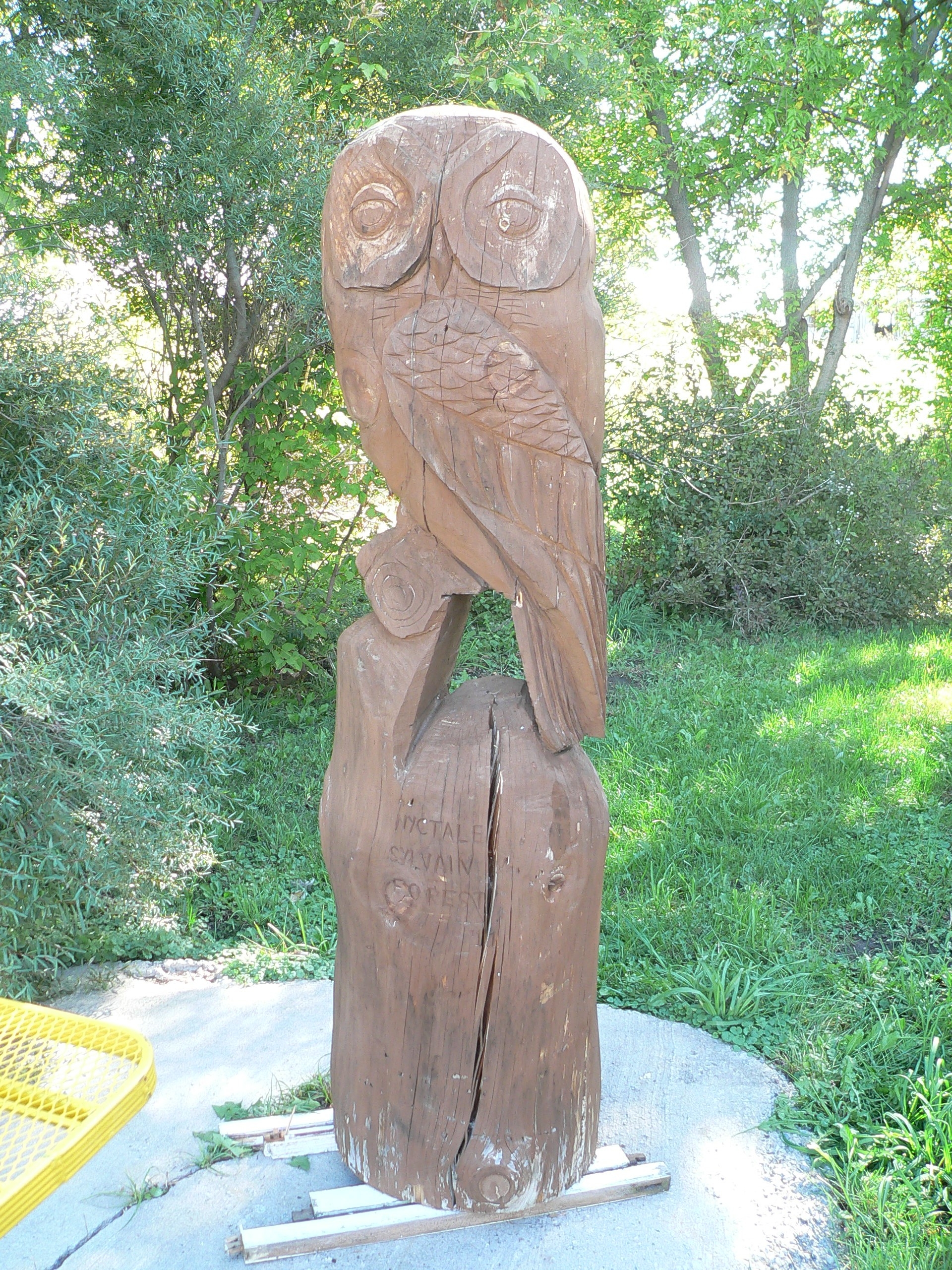 Gros totem hibou sculpter en bois # 10522 