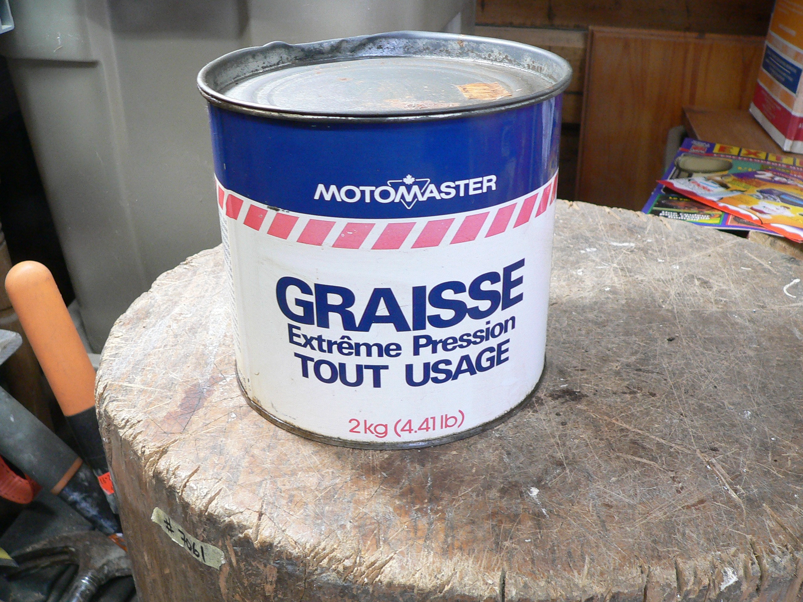 Canne de graisse motomaster # 10979.50