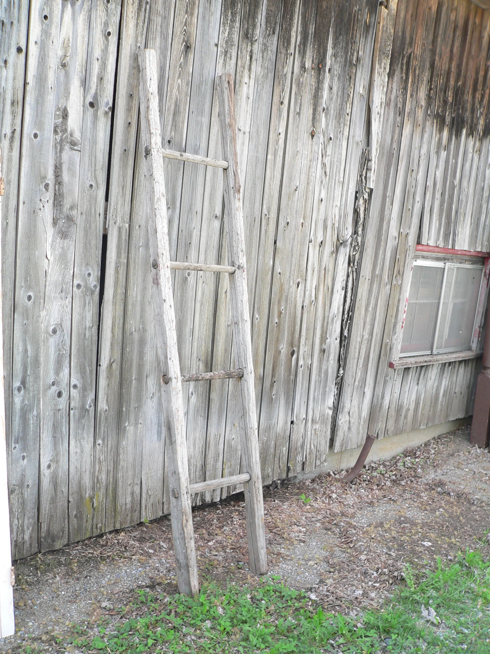 échelle antique # 12572