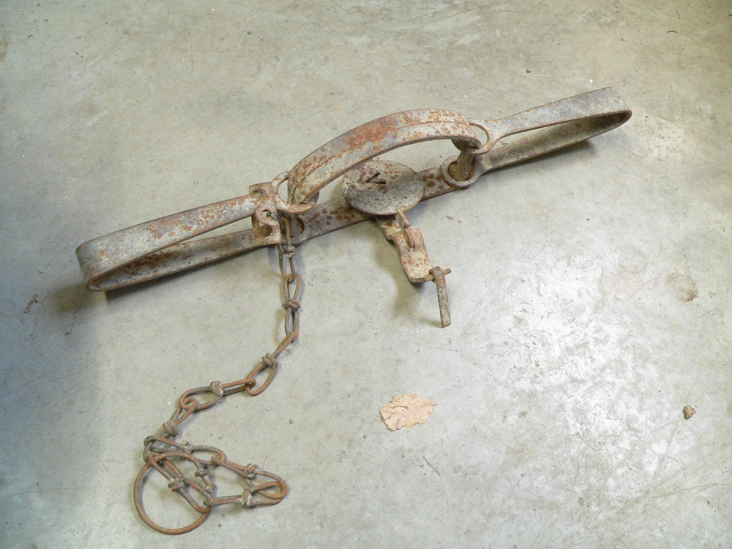 Piège antique Victor # 12892.1