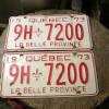 Paire de plaque vintage # 9598